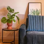 Apartamento Jupiter Center